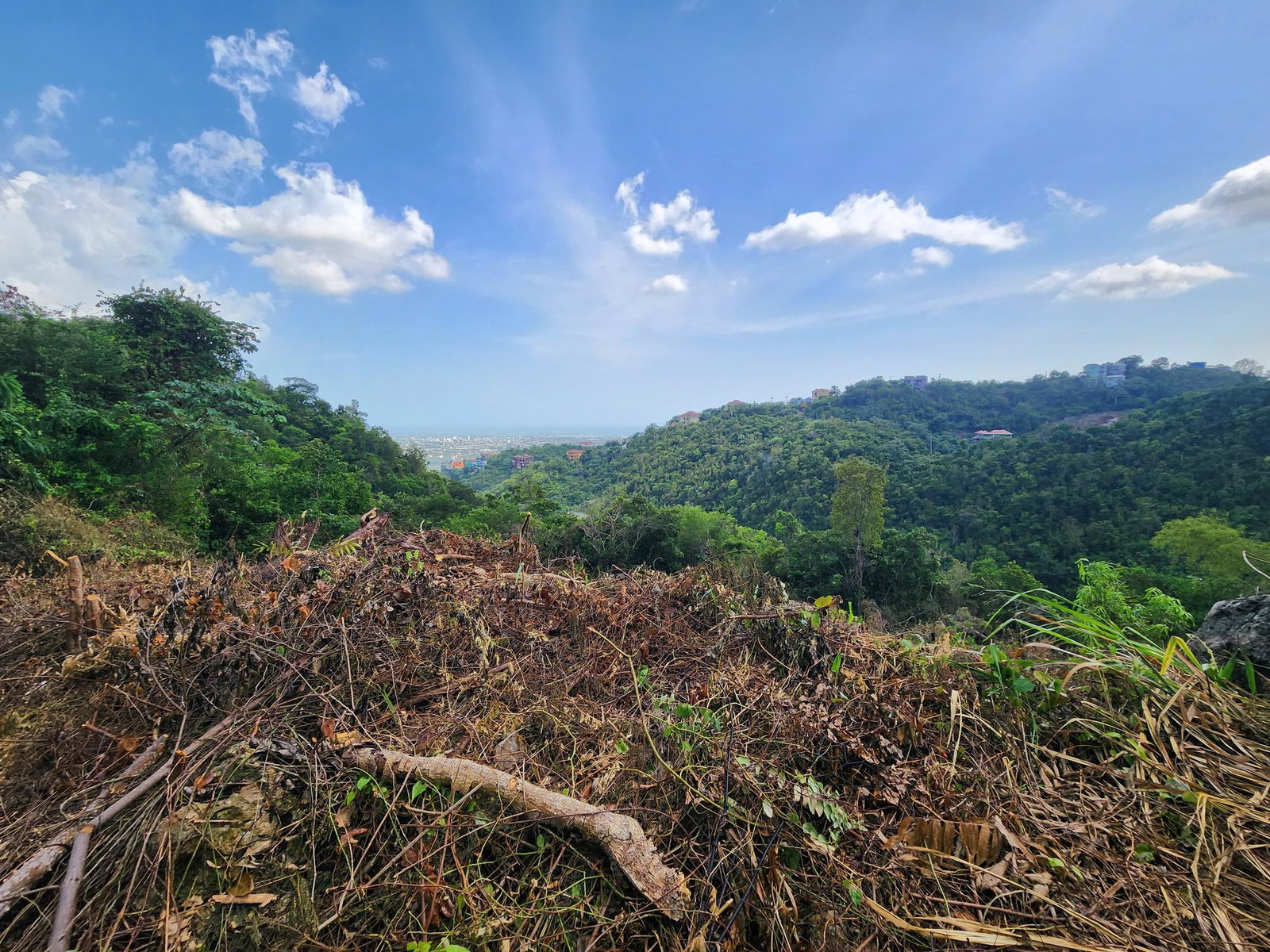 Sixteenth image of 409 Pegasus Place in Kingston 19, St. Andrew, Jamaica - property is For Sale