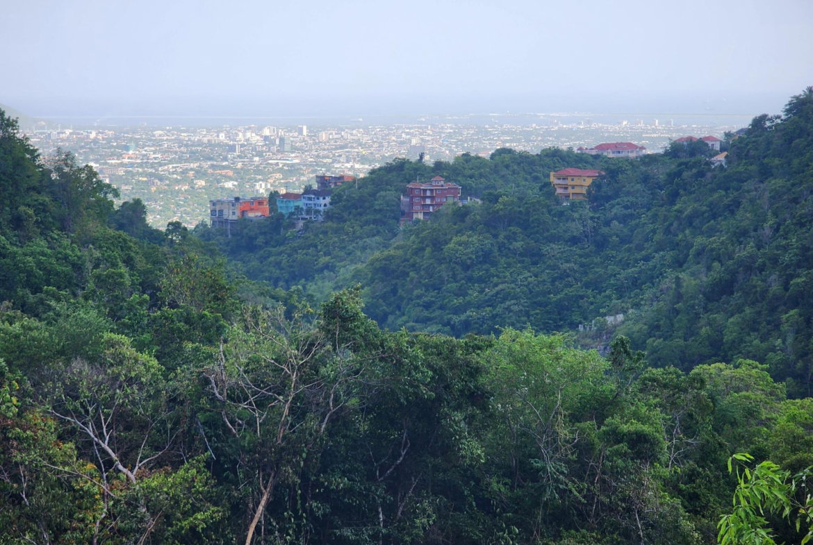 Eighteenth image of 409 Pegasus Place in Kingston 19, St. Andrew, Jamaica - property is For Sale