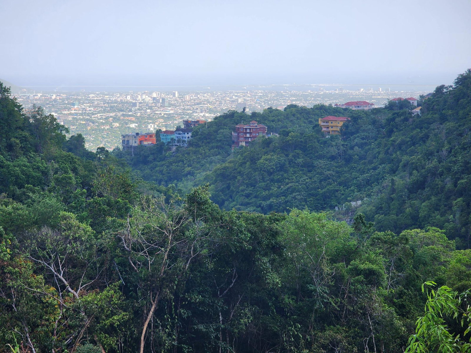 Eighteenth image of 409 Pegasus Place in Kingston 19, St. Andrew, Jamaica - property is For Sale