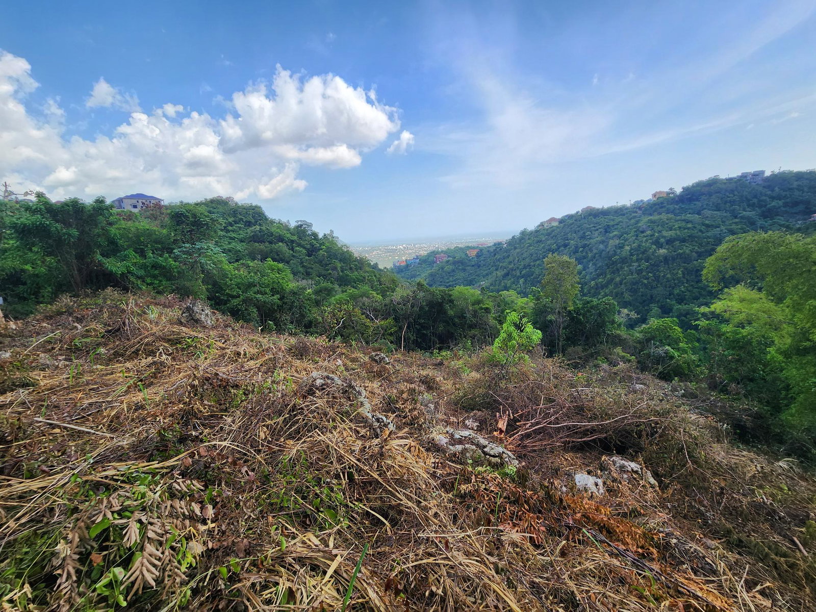 Nineteenth image of 409 Pegasus Place in Kingston 19, St. Andrew, Jamaica - property is For Sale
