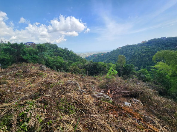 Nineteenth image of 409 Pegasus Place in Kingston 19, St. Andrew, Jamaica - property is For Sale