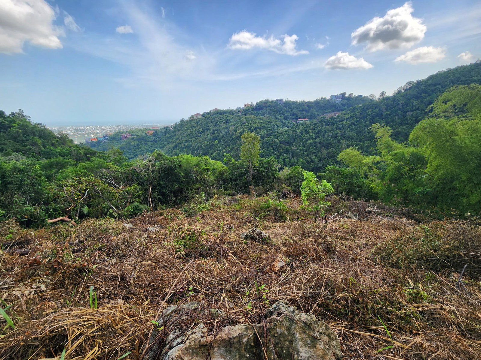 Fourth image of 409 Pegasus Place in Kingston 19, St. Andrew, Jamaica - property is For Sale