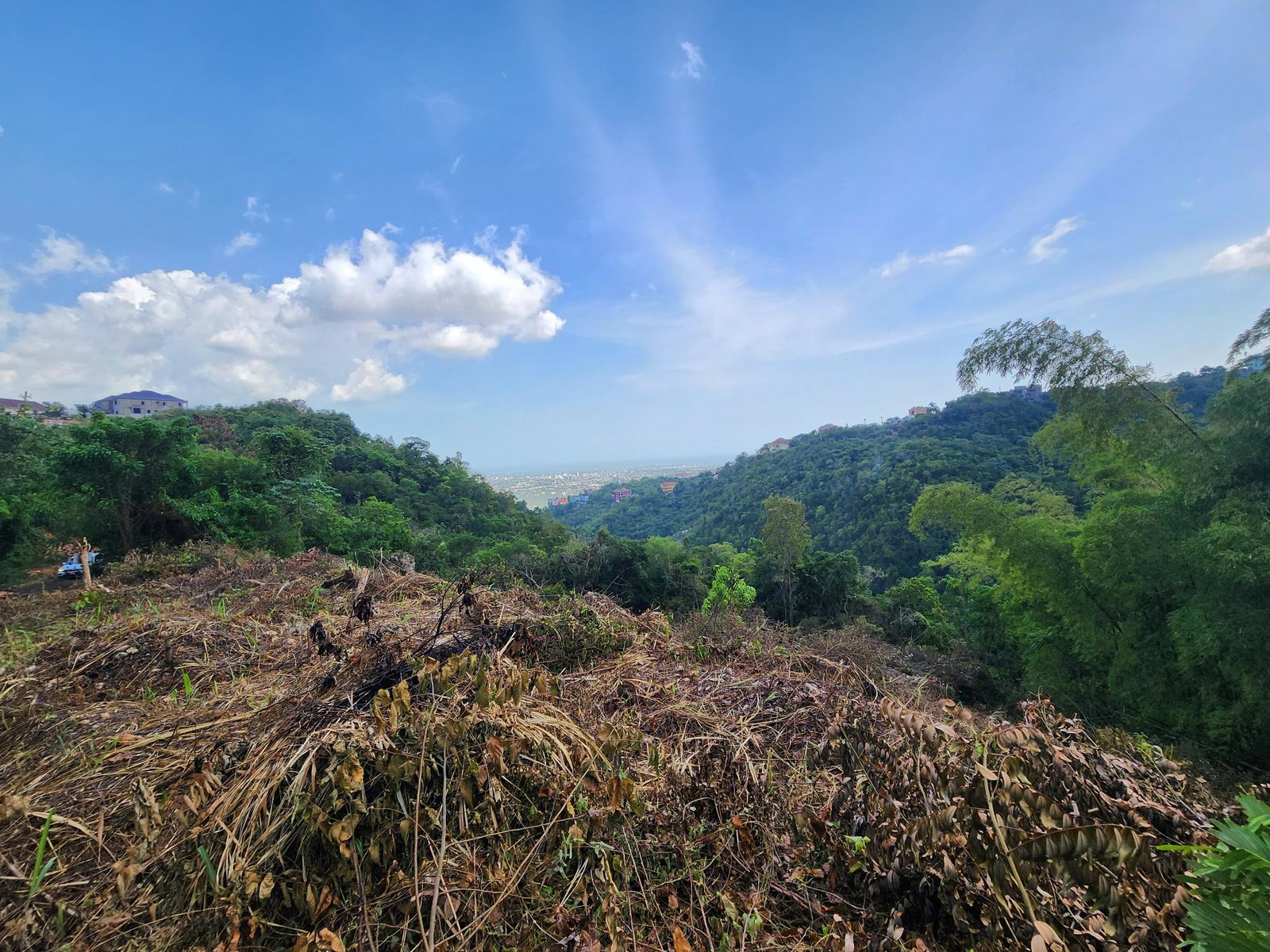 Fifth image of 409 Pegasus Place in Kingston 19, St. Andrew, Jamaica - property is For Sale