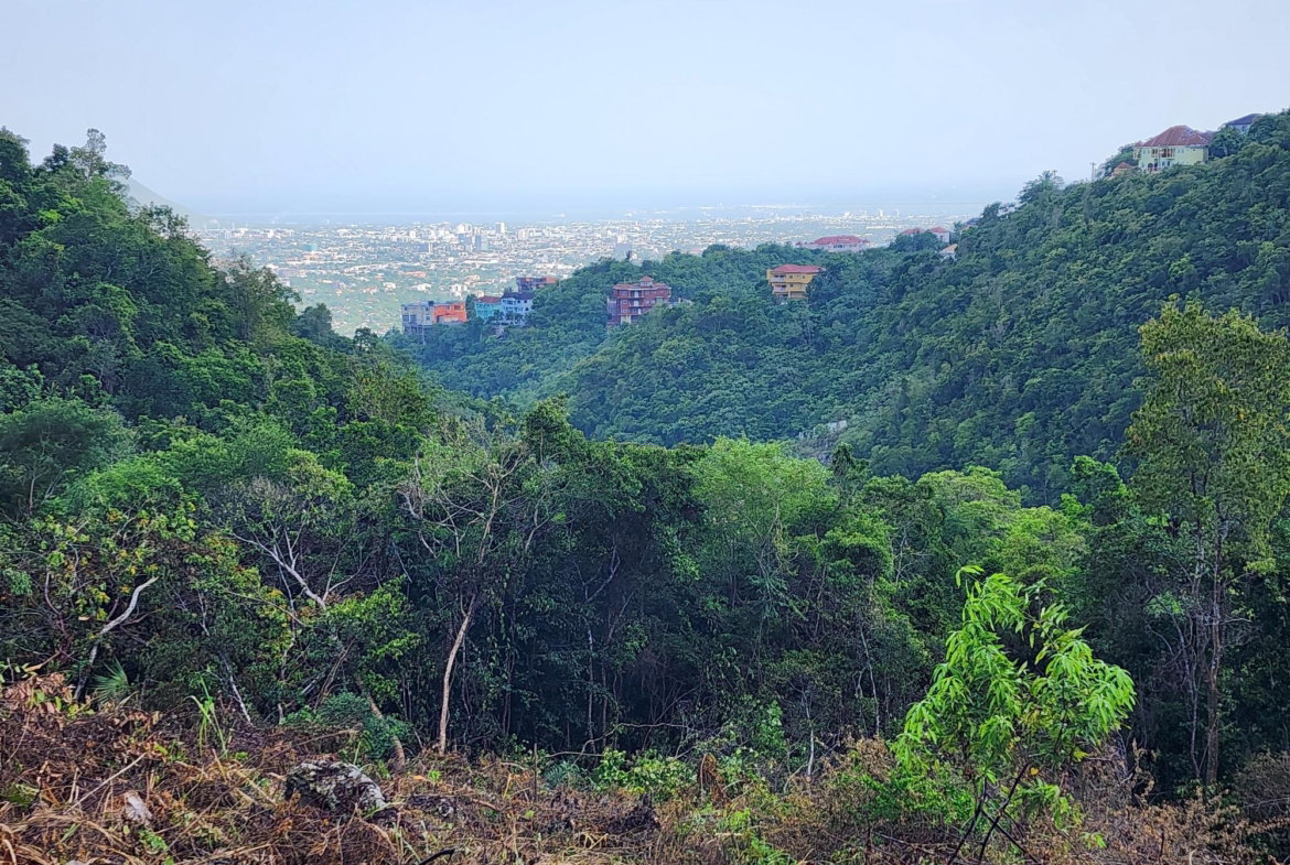 Sixth image of 409 Pegasus Place in Kingston 19, St. Andrew, Jamaica - property is For Sale