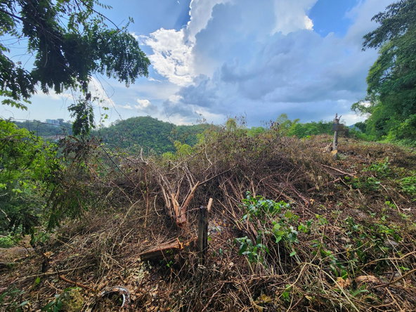 Ninth image of 409 Pegasus Place in Kingston 19, St. Andrew, Jamaica - property is For Sale