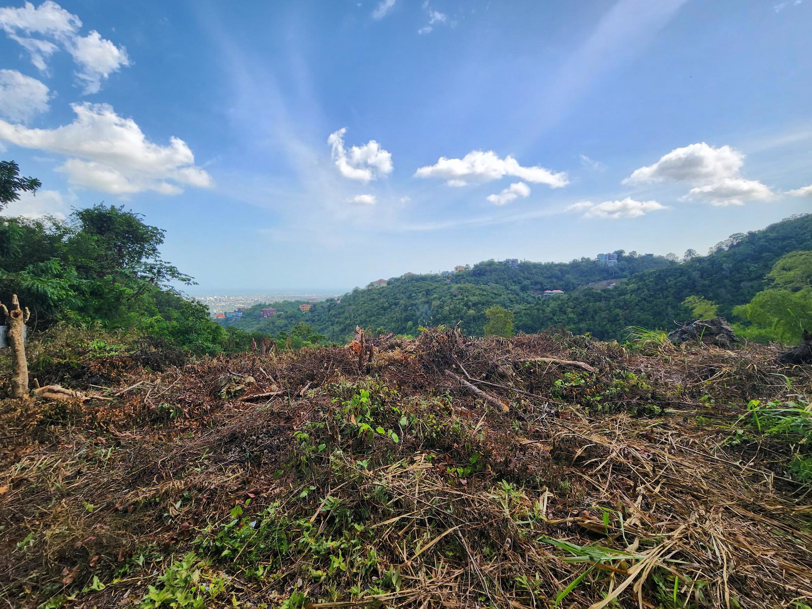 Tenth image of 409 Pegasus Place in Kingston 19, St. Andrew, Jamaica - property is For Sale