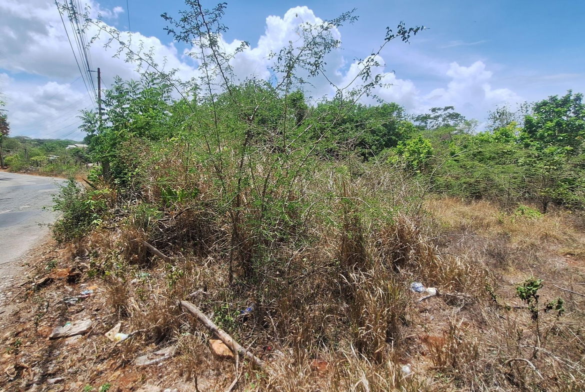 Second image of Lot 176 Queenhythe District, Disc in Queenhythe, St. Ann, Jamaica - property is For Sale