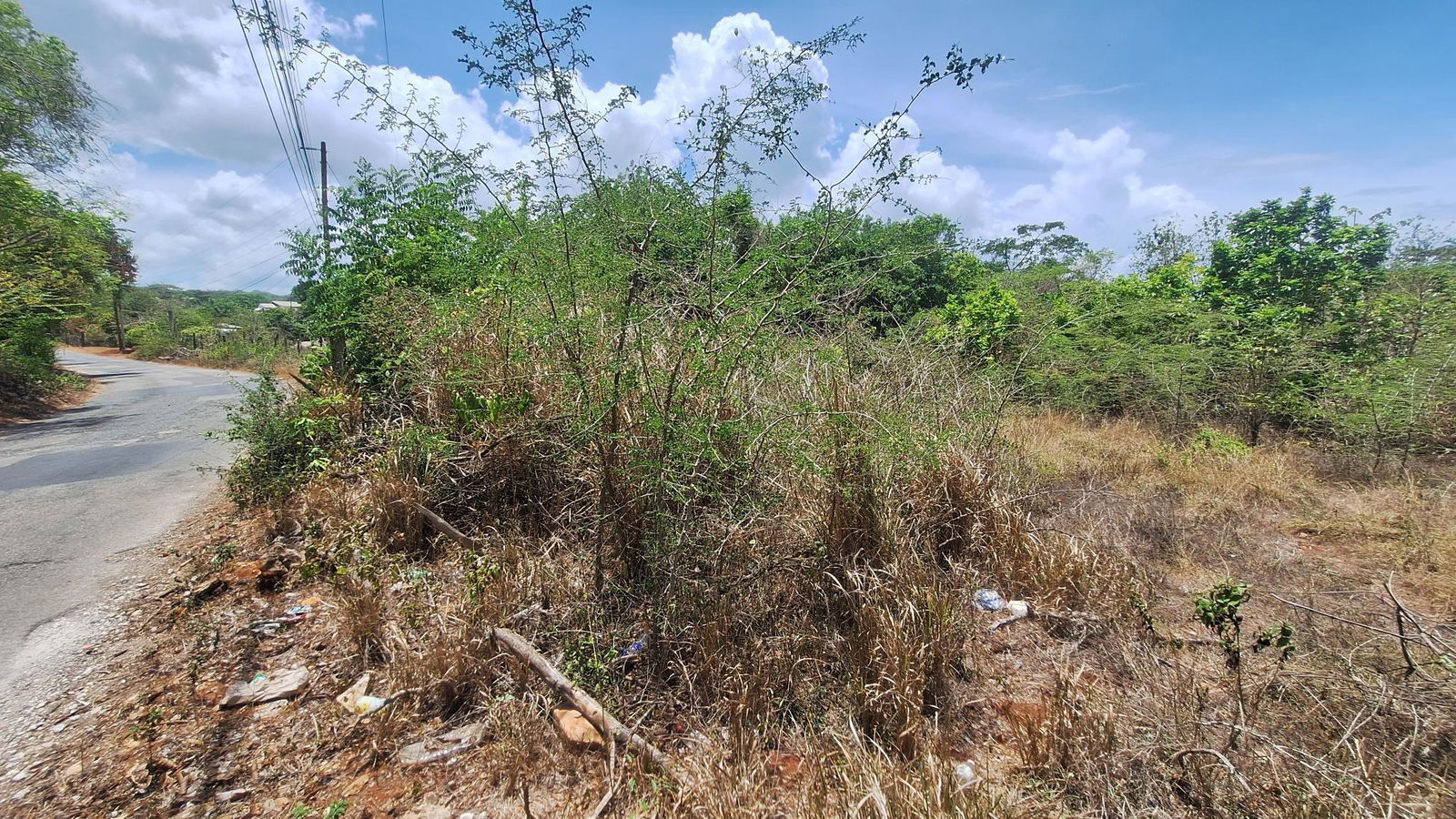 Second image of Lot 176 Queenhythe District, Disc in Queenhythe, St. Ann, Jamaica - property is For Sale