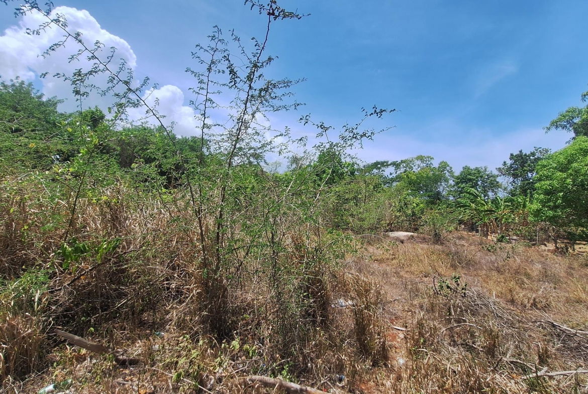 First image of Lot 176 Queenhythe District, Disc in Queenhythe, St. Ann, Jamaica - property is For Sale