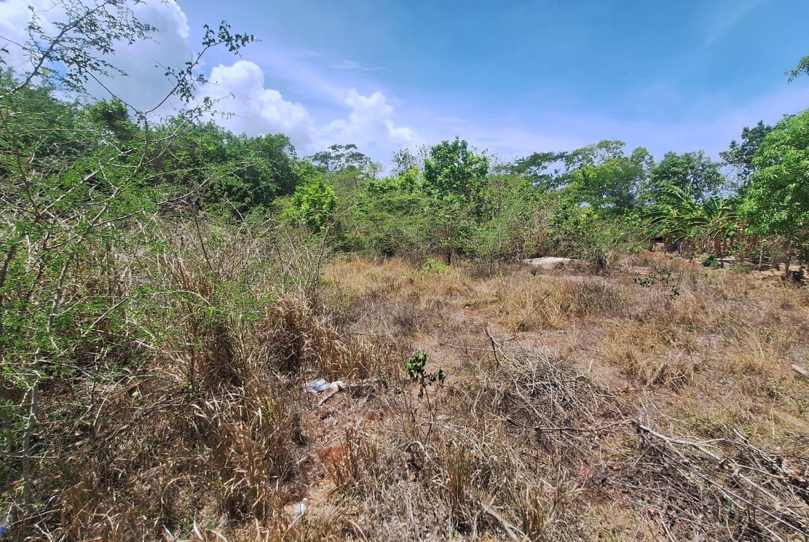 Third image of Lot 176 Queenhythe District, Disc in Queenhythe, St. Ann, Jamaica - property is For Sale