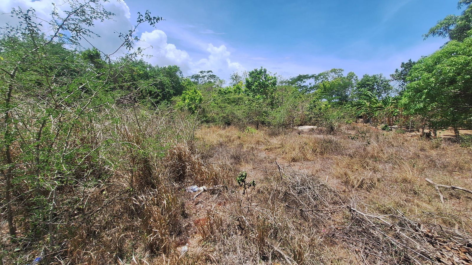 Third image of Lot 176 Queenhythe District, Disc in Queenhythe, St. Ann, Jamaica - property is For Sale