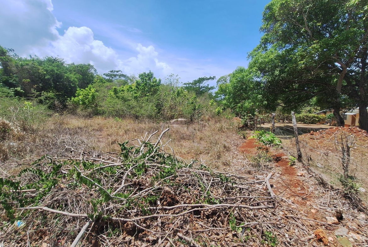 Fourth image of Lot 176 Queenhythe District, Disc in Queenhythe, St. Ann, Jamaica - property is For Sale