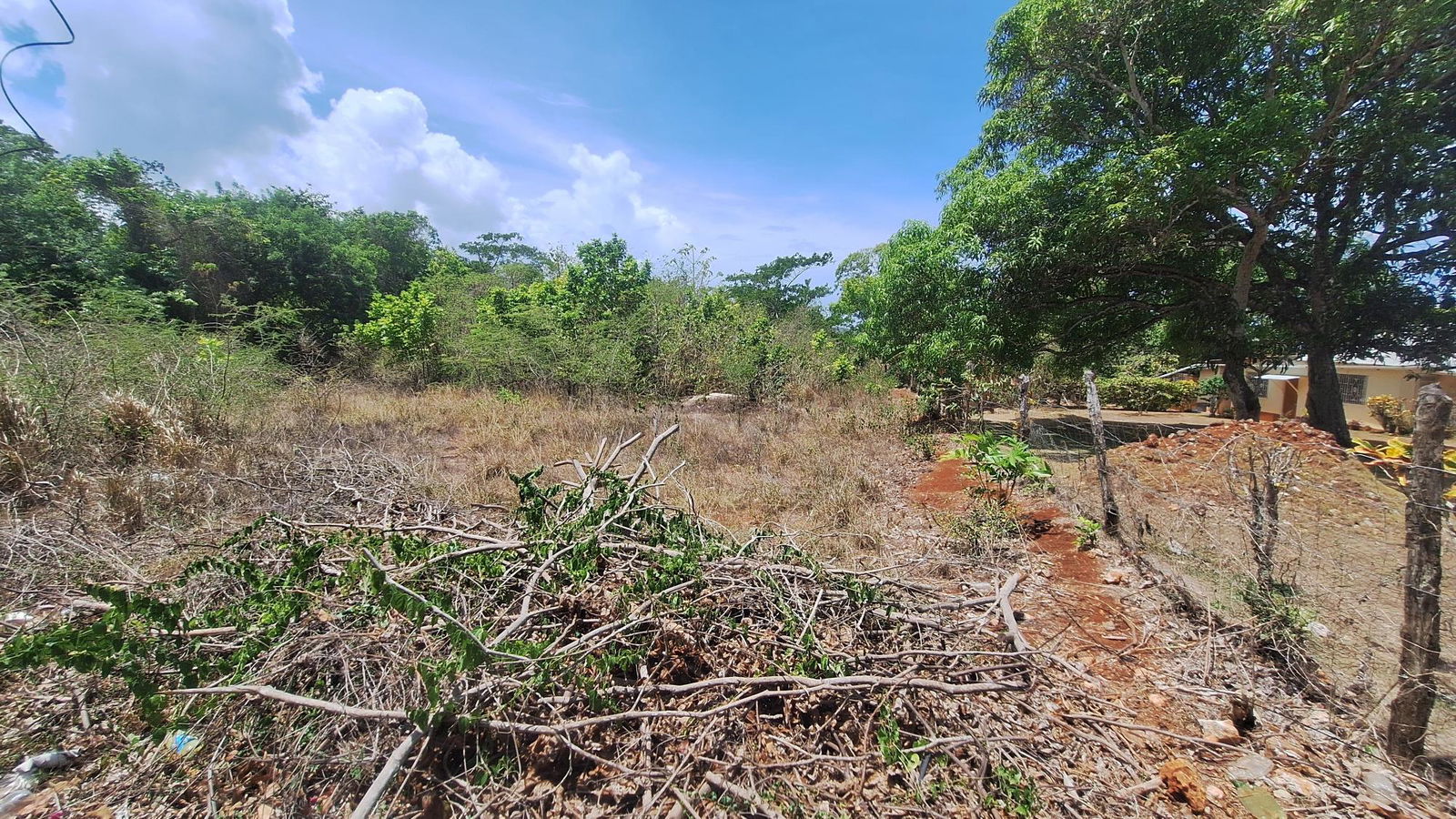 Fourth image of Lot 176 Queenhythe District, Disc in Queenhythe, St. Ann, Jamaica - property is For Sale