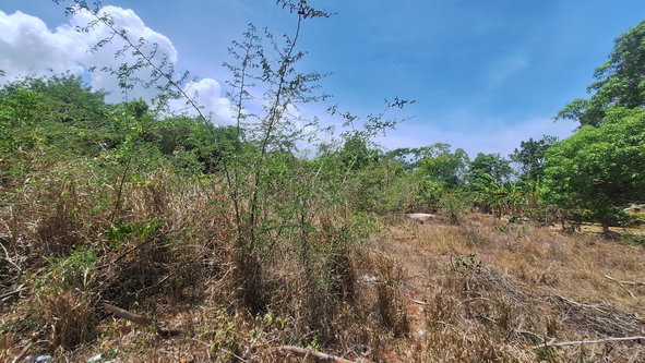 First image of Lot 176 Queenhythe District, Disc in Queenhythe, St. Ann, Jamaica - property is For Sale