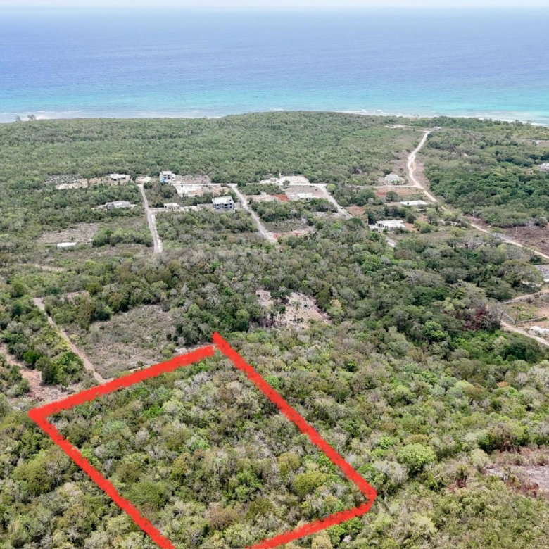 First image of Gentles Pen Carey Park in Duncans, Trelawny, Jamaica - property is For Sale