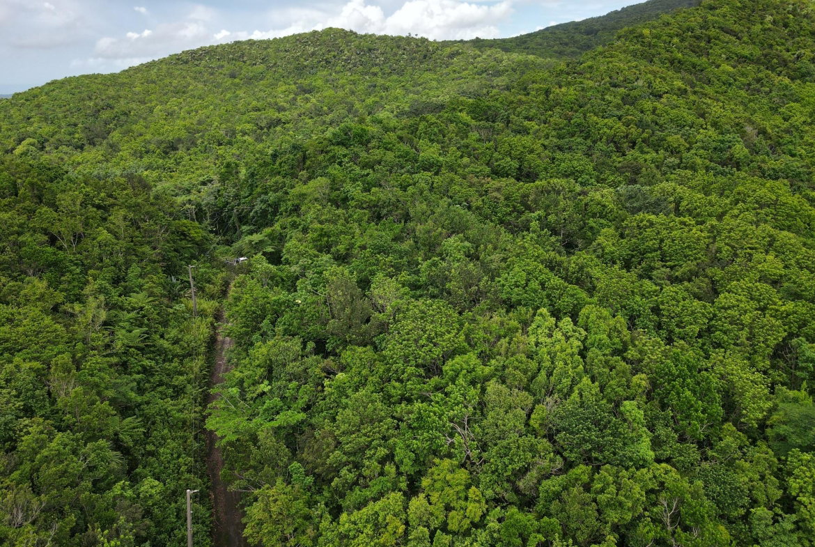 Third image of 190 Rowlandsfield in Rowlandsfield, St. Thomas, Jamaica - property is For Sale