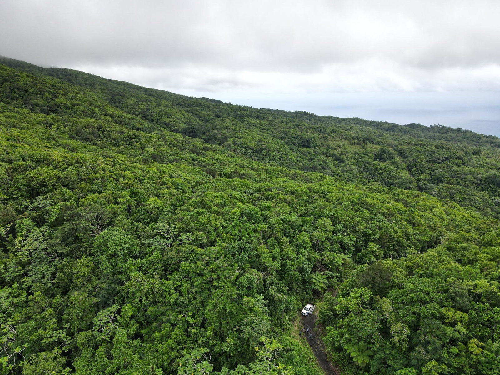 Fifth image of 190 Rowlandsfield in Rowlandsfield, St. Thomas, Jamaica - property is For Sale