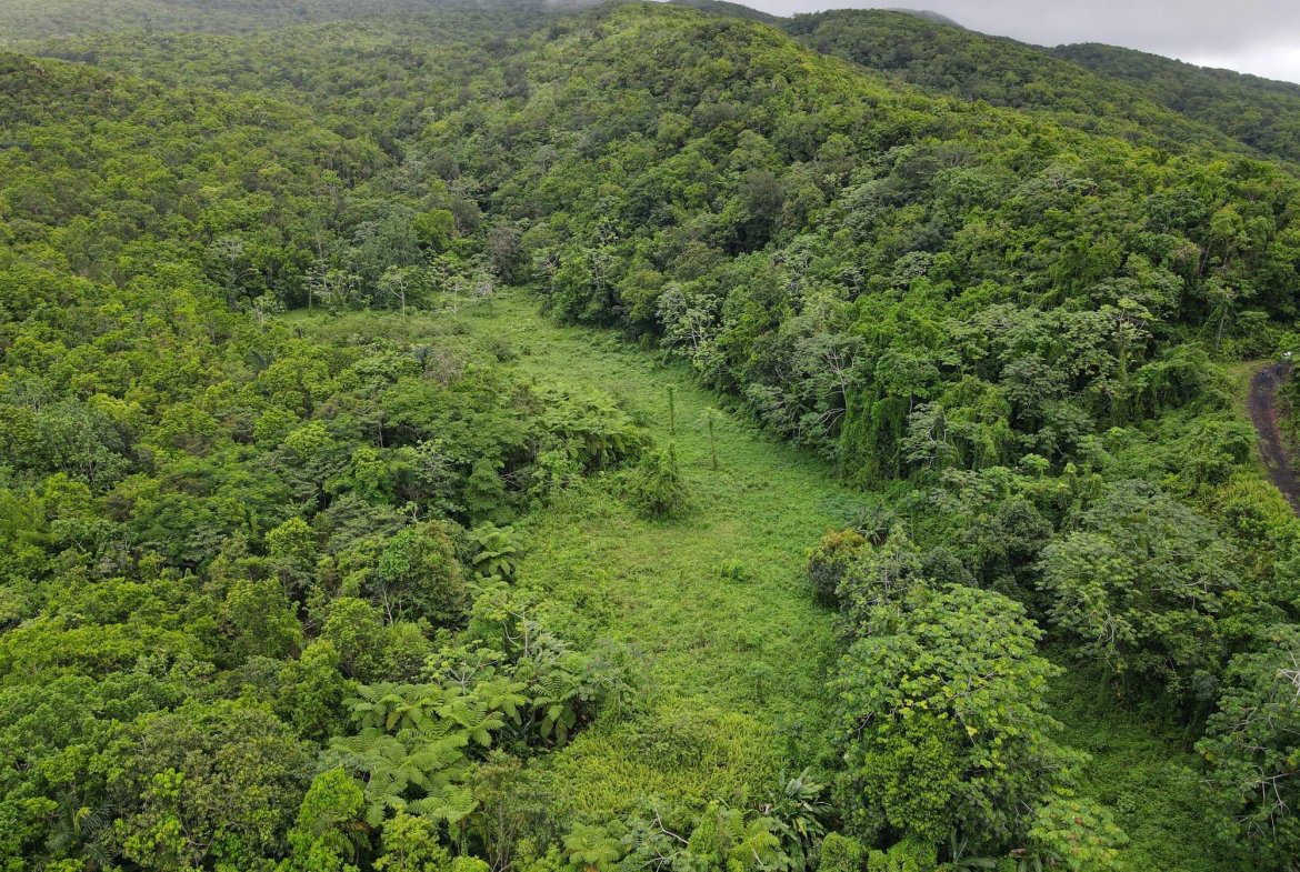 Seventh image of 190 Rowlandsfield in Rowlandsfield, St. Thomas, Jamaica - property is For Sale