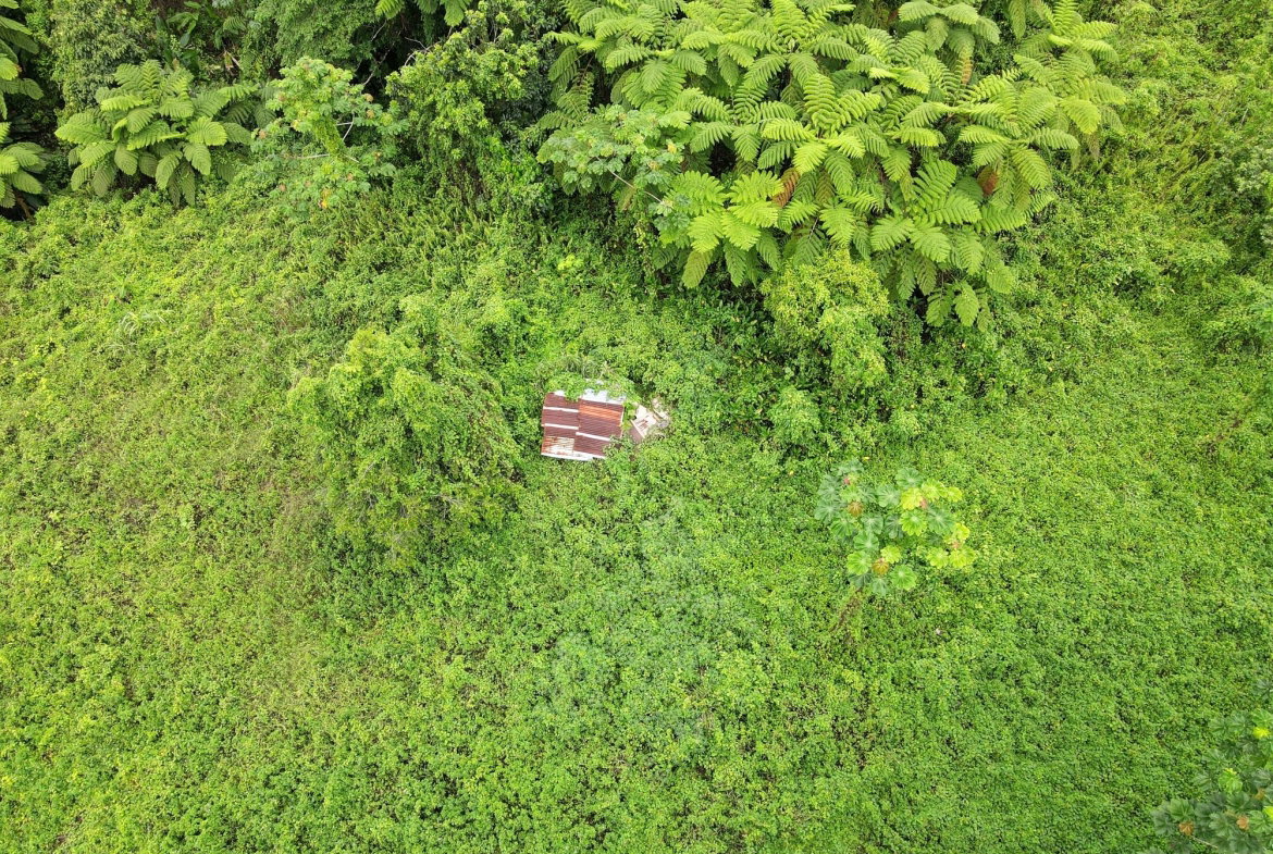 Eighth image of 190 Rowlandsfield in Rowlandsfield, St. Thomas, Jamaica - property is For Sale