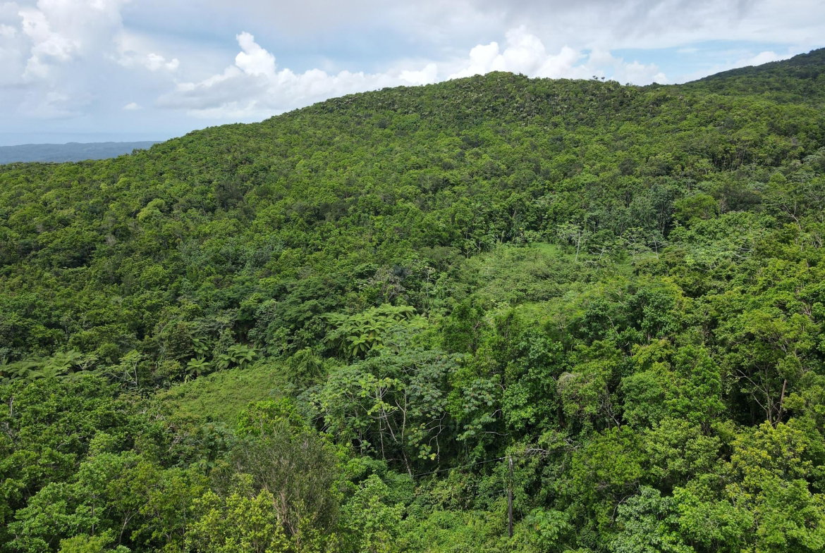 Tenth image of 190 Rowlandsfield in Rowlandsfield, St. Thomas, Jamaica - property is For Sale