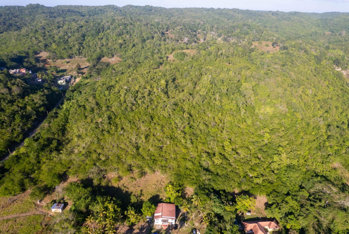 Eleventh image of 100- Barnstaple & Biddeford in Biddeford, Trelawny, Jamaica - property is For Sale