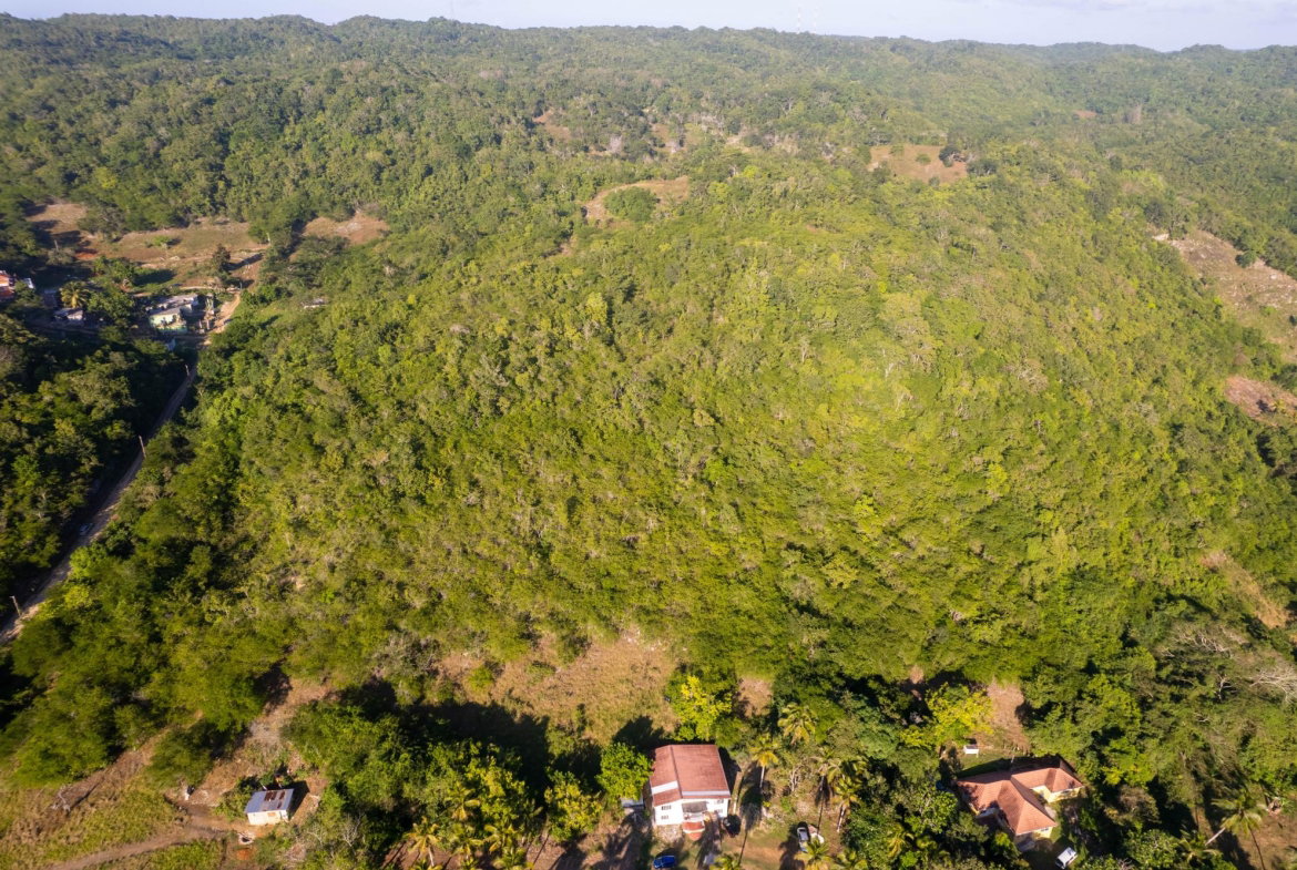 Twelfth image of 100- Barnstaple & Biddeford in Biddeford, Trelawny, Jamaica - property is For Sale