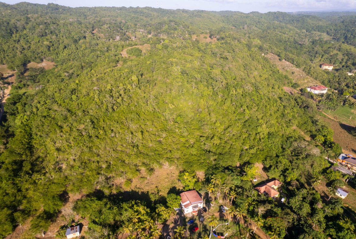 Thirteenth image of 100- Barnstaple & Biddeford in Biddeford, Trelawny, Jamaica - property is For Sale