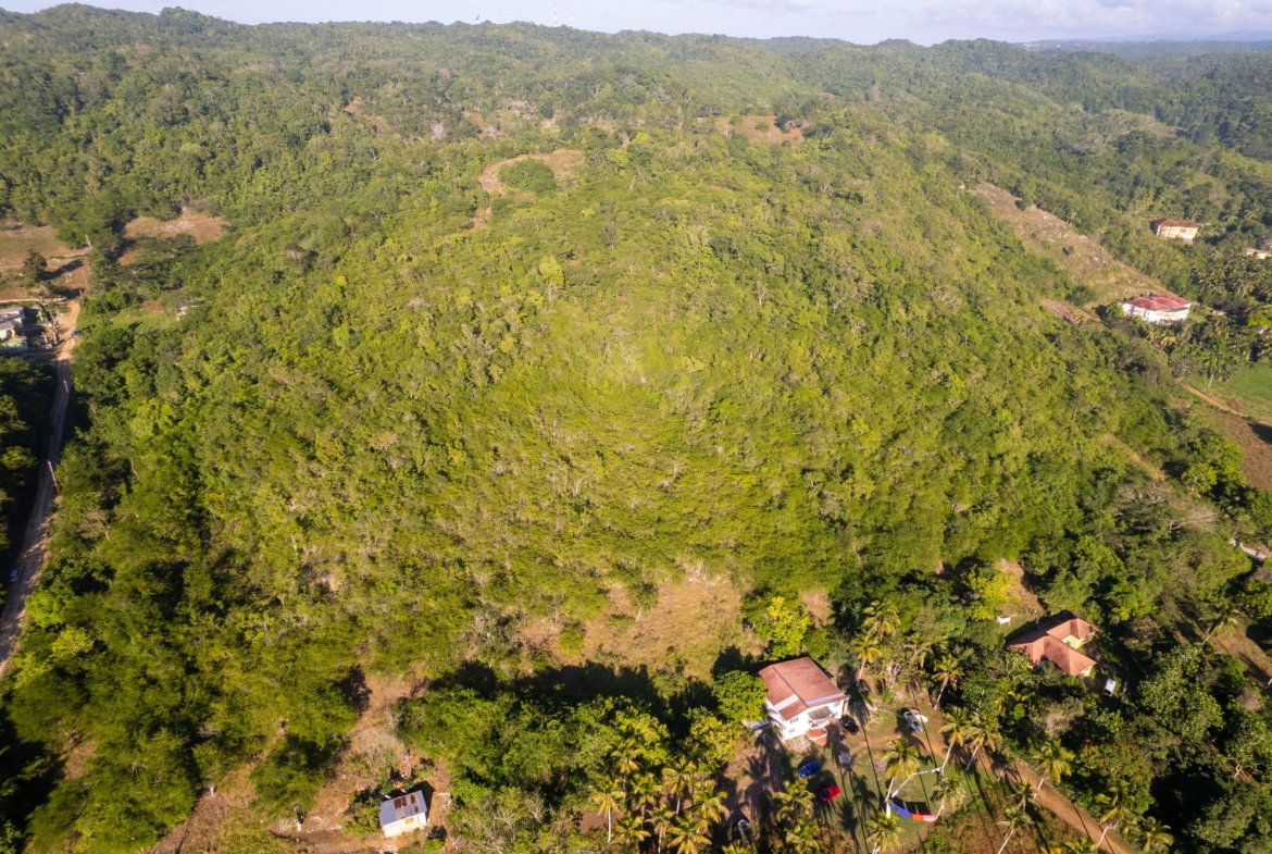Fourteenth image of 100- Barnstaple & Biddeford in Biddeford, Trelawny, Jamaica - property is For Sale
