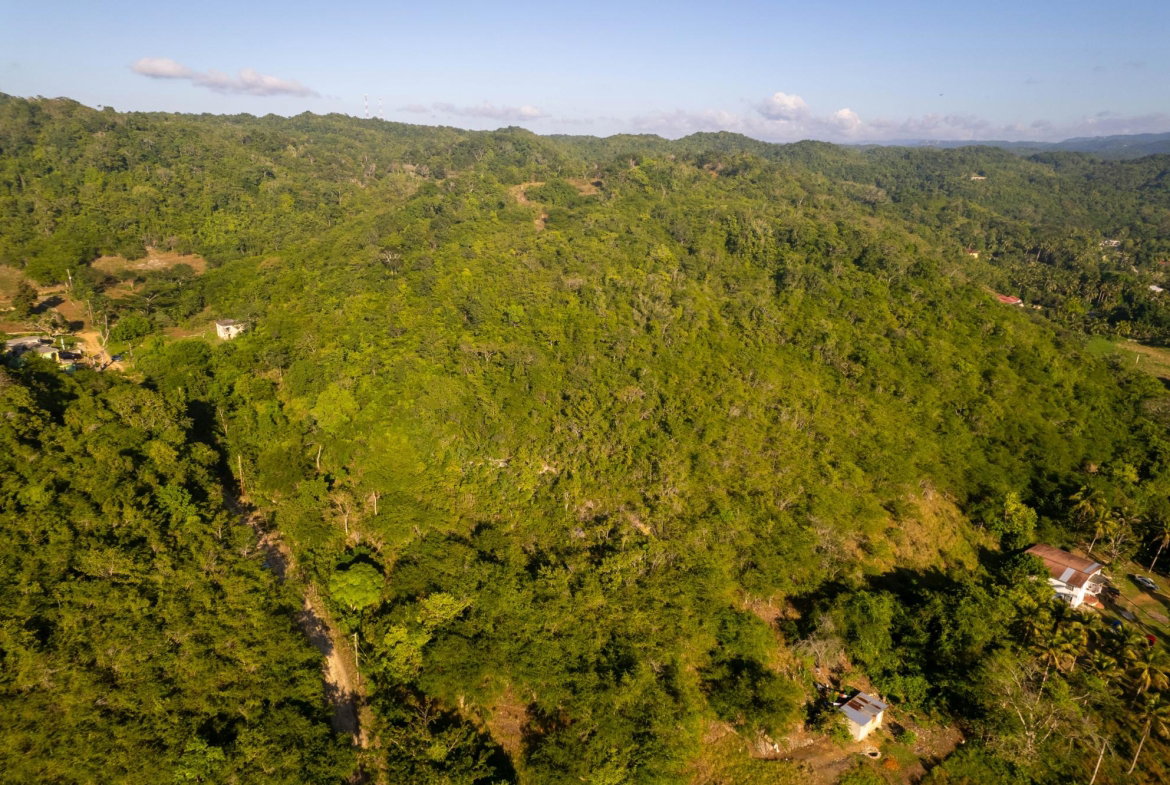 Fifteenth image of 100- Barnstaple & Biddeford in Biddeford, Trelawny, Jamaica - property is For Sale