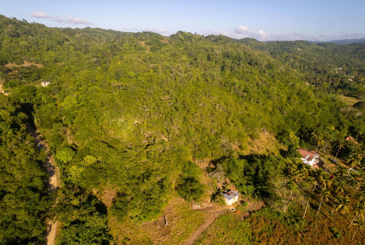 Seventeenth image of 100- Barnstaple & Biddeford in Biddeford, Trelawny, Jamaica - property is For Sale