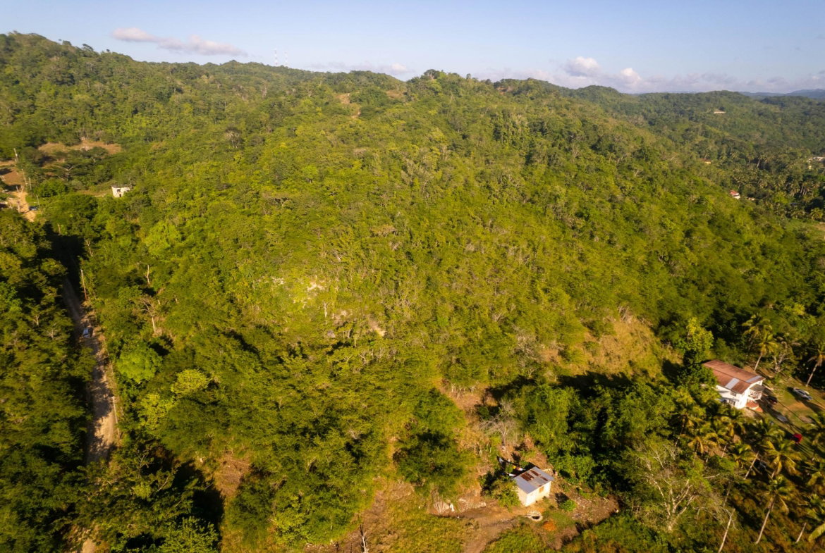 Eighteenth image of 100- Barnstaple & Biddeford in Biddeford, Trelawny, Jamaica - property is For Sale