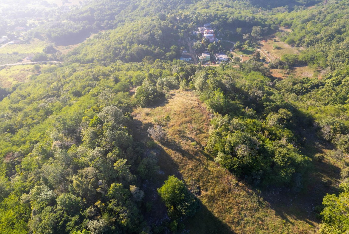 Third image of 100- Barnstaple & Biddeford in Biddeford, Trelawny, Jamaica - property is For Sale