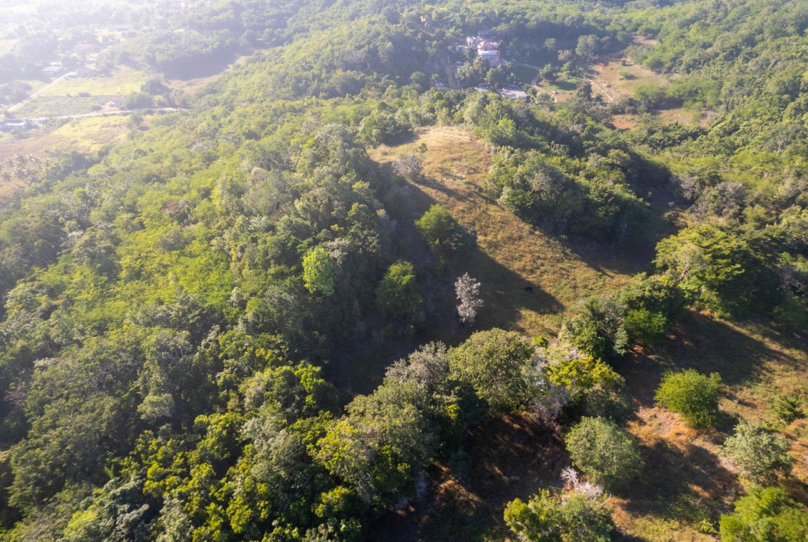 Fifth image of 100- Barnstaple & Biddeford in Biddeford, Trelawny, Jamaica - property is For Sale
