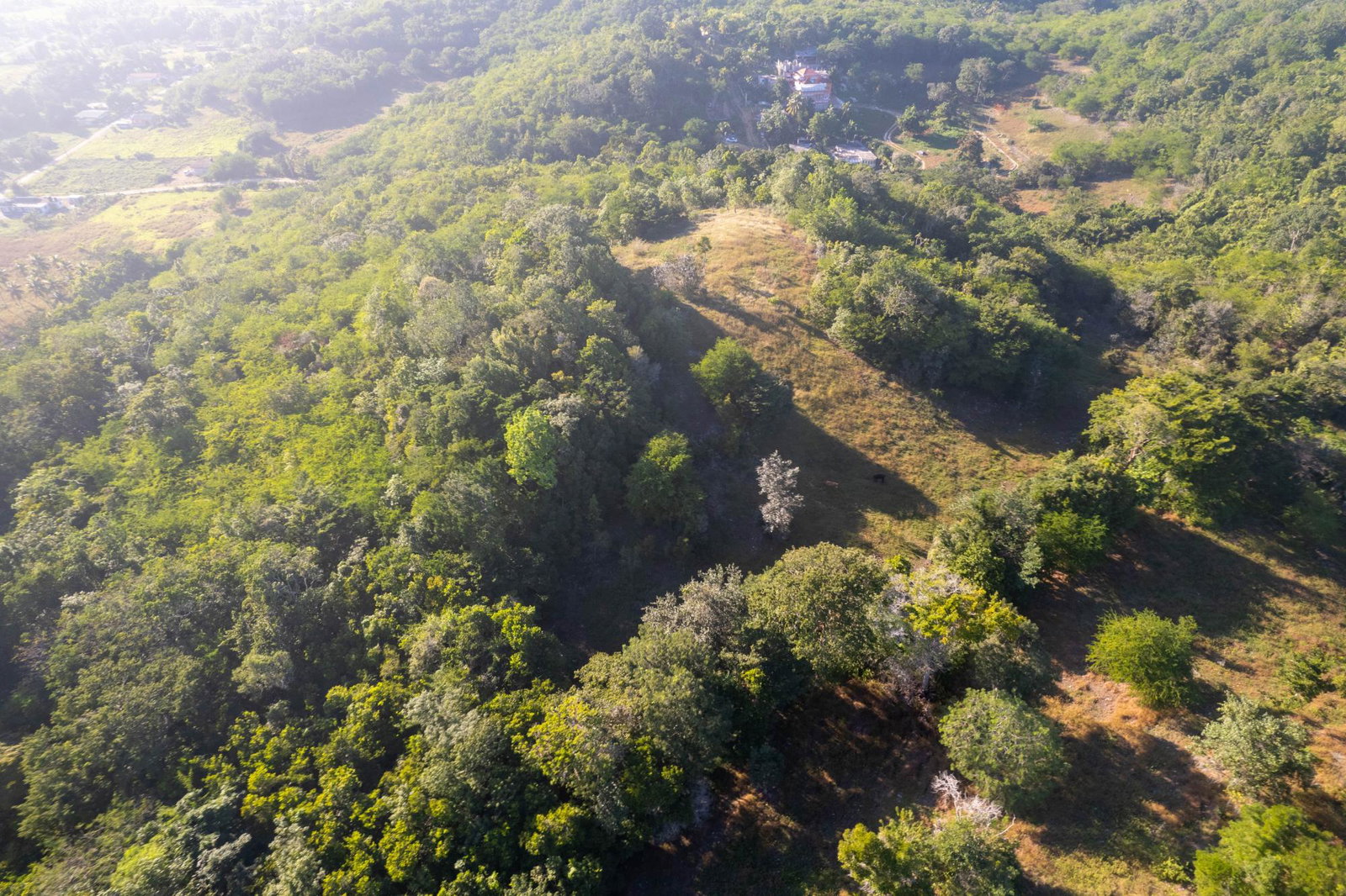 Fifth image of 100- Barnstaple & Biddeford in Biddeford, Trelawny, Jamaica - property is For Sale