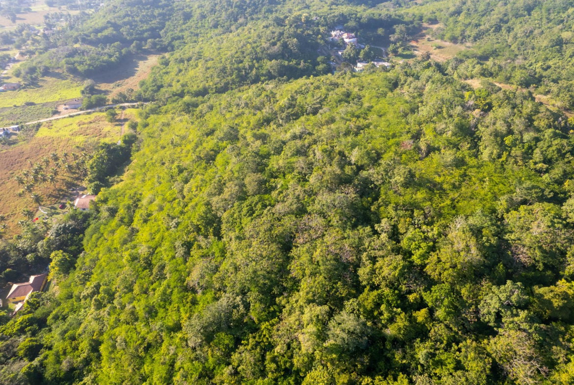 Sixth image of 100- Barnstaple & Biddeford in Biddeford, Trelawny, Jamaica - property is For Sale