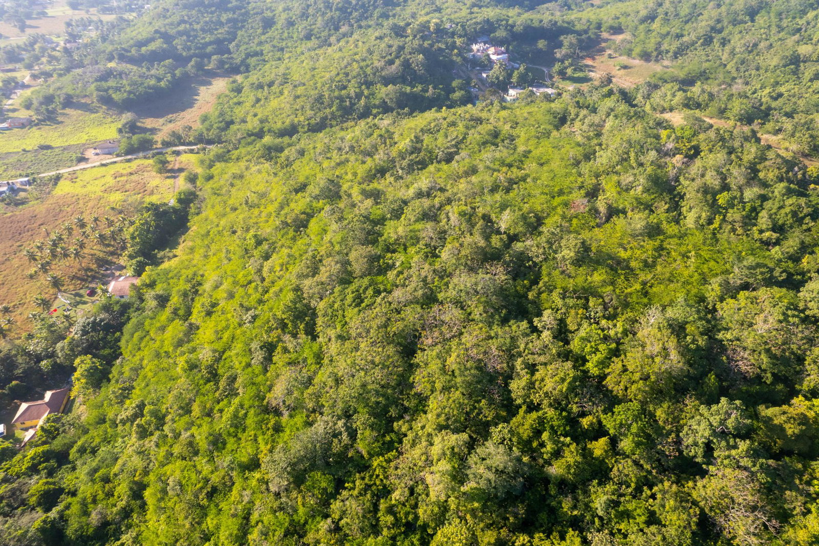 Sixth image of 100- Barnstaple & Biddeford in Biddeford, Trelawny, Jamaica - property is For Sale