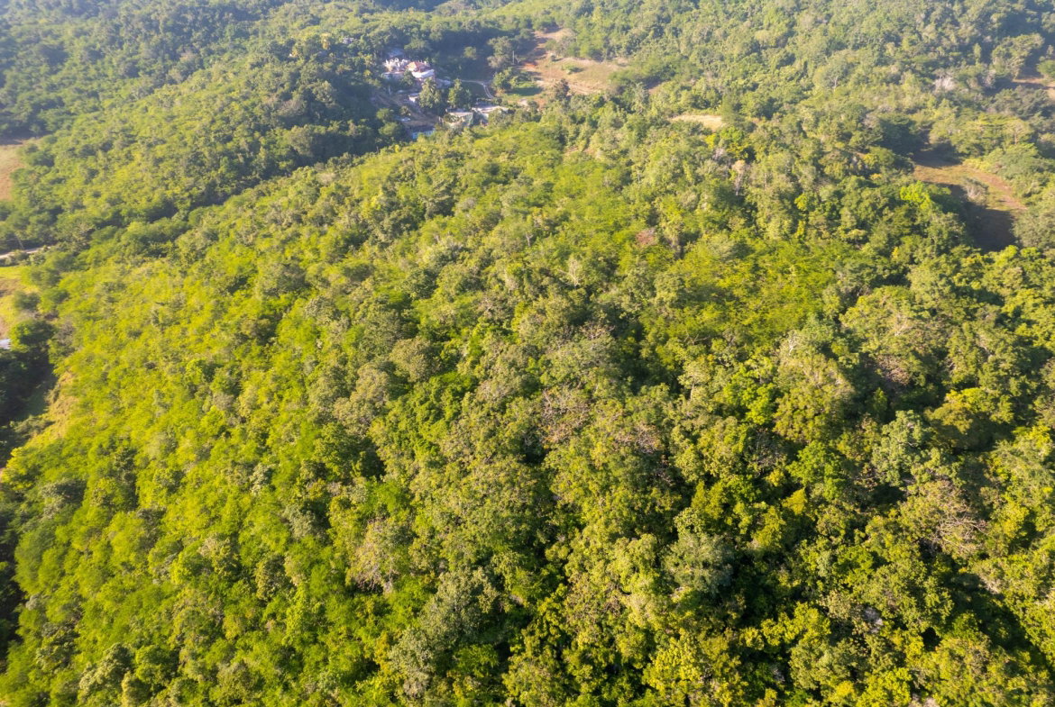 Seventh image of 100- Barnstaple & Biddeford in Biddeford, Trelawny, Jamaica - property is For Sale