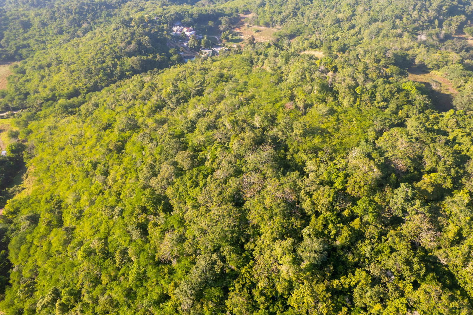 Seventh image of 100- Barnstaple & Biddeford in Biddeford, Trelawny, Jamaica - property is For Sale