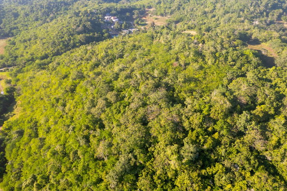 Seventh image of 100- Barnstaple & Biddeford in Biddeford, Trelawny, Jamaica - property is For Sale