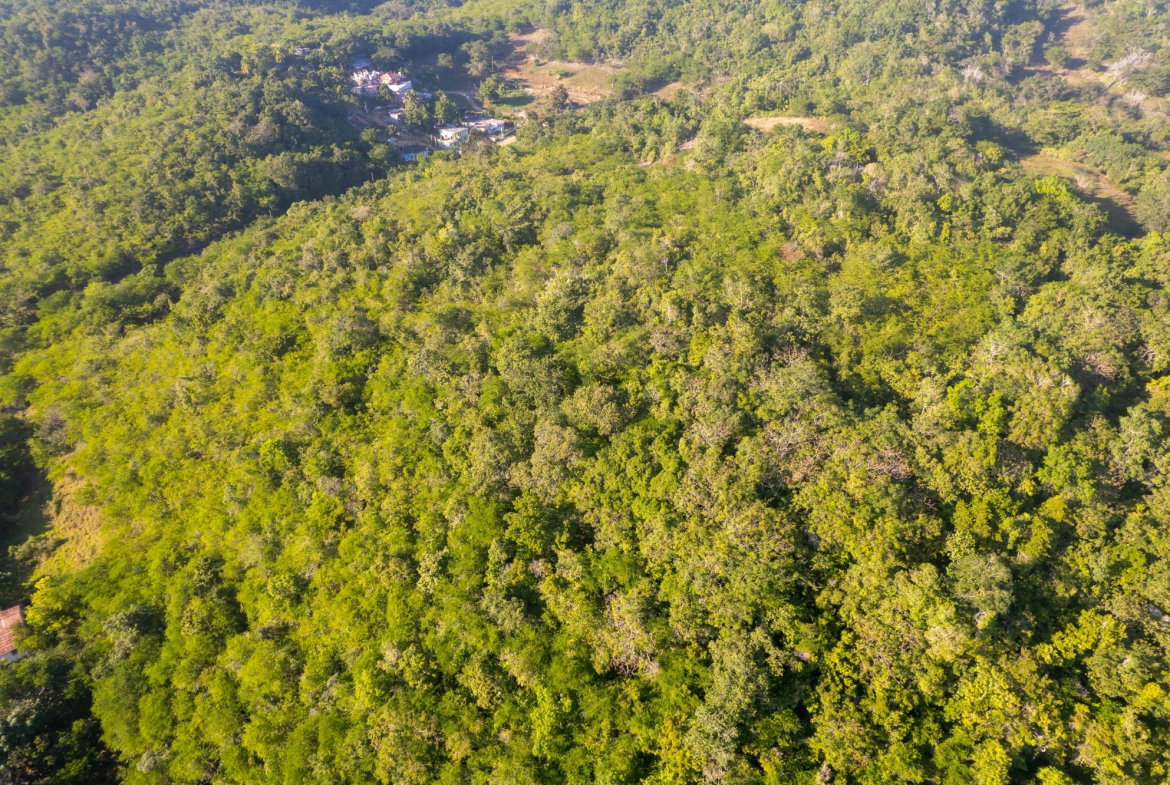 Eighth image of 100- Barnstaple & Biddeford in Biddeford, Trelawny, Jamaica - property is For Sale