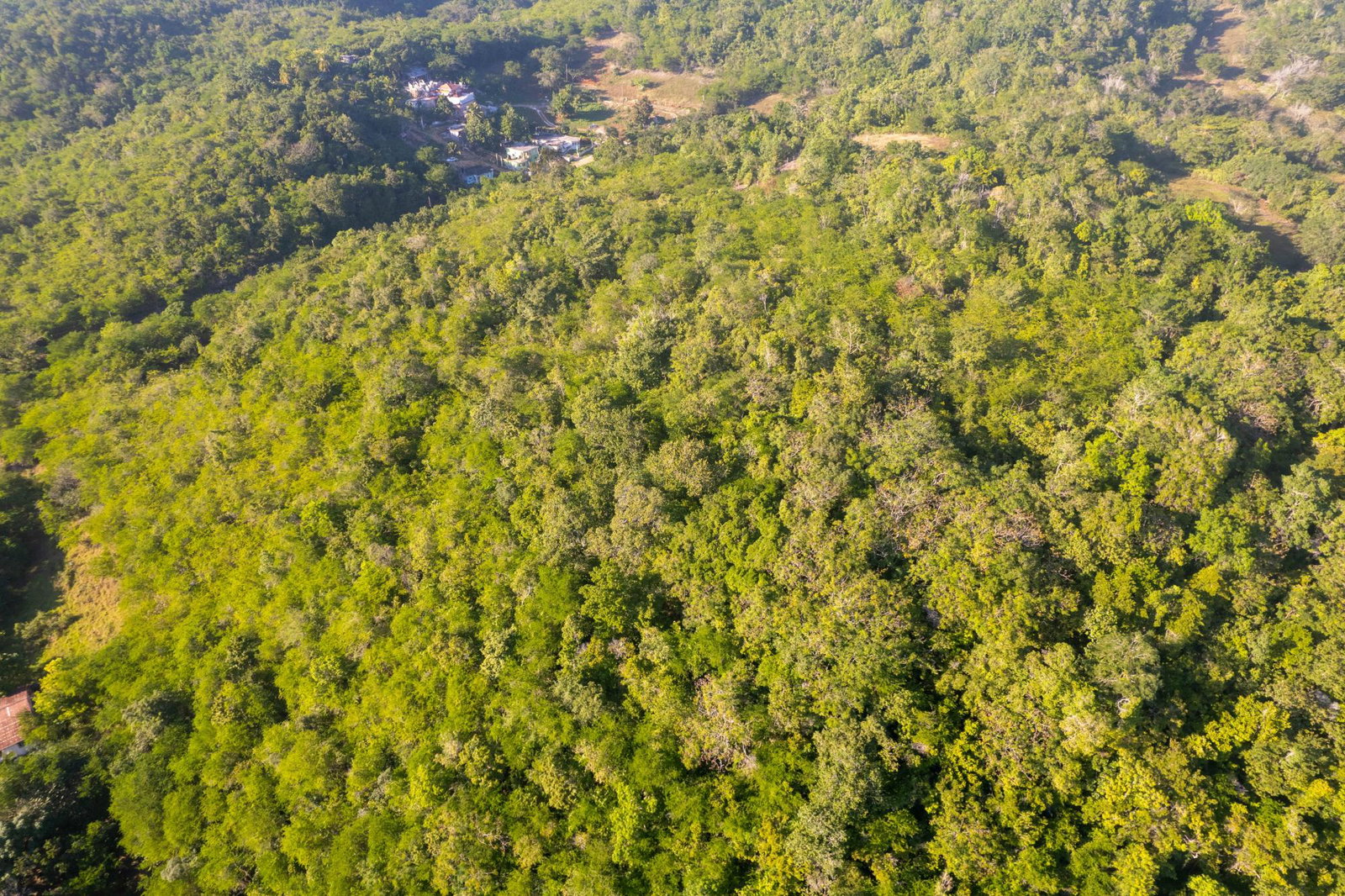 Eighth image of 100- Barnstaple & Biddeford in Biddeford, Trelawny, Jamaica - property is For Sale