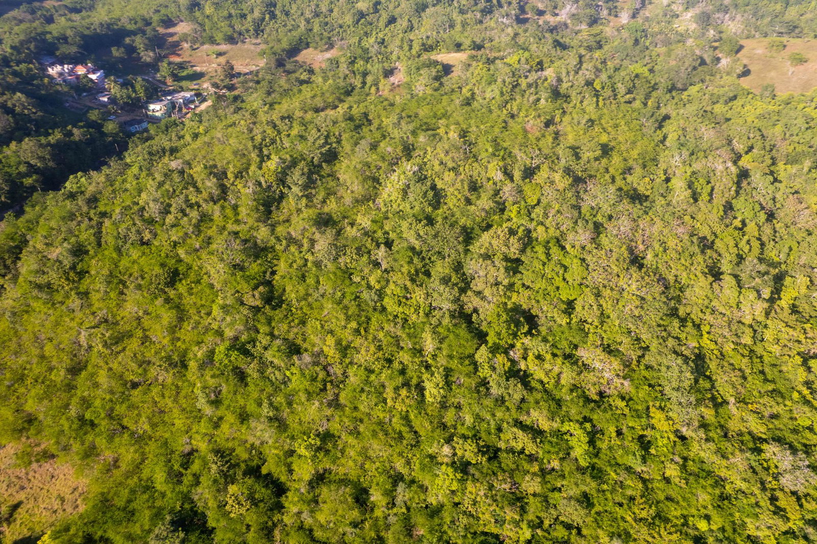 Ninth image of 100- Barnstaple & Biddeford in Biddeford, Trelawny, Jamaica - property is For Sale