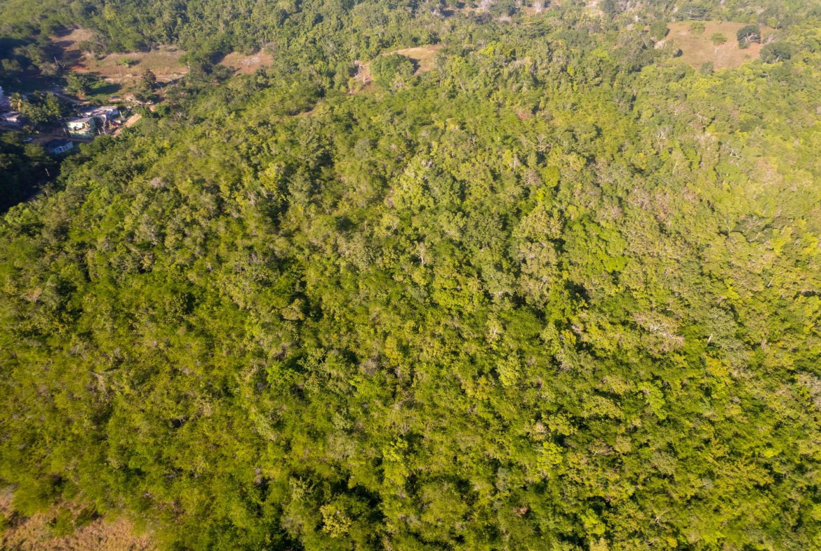 Tenth image of 100- Barnstaple & Biddeford in Biddeford, Trelawny, Jamaica - property is For Sale