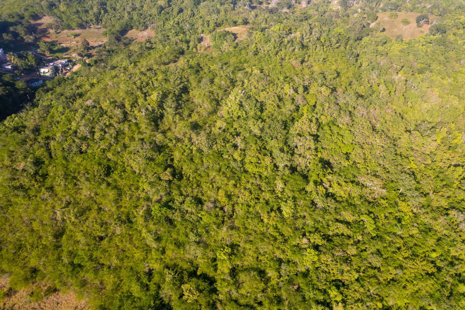 Tenth image of 100- Barnstaple & Biddeford in Biddeford, Trelawny, Jamaica - property is For Sale