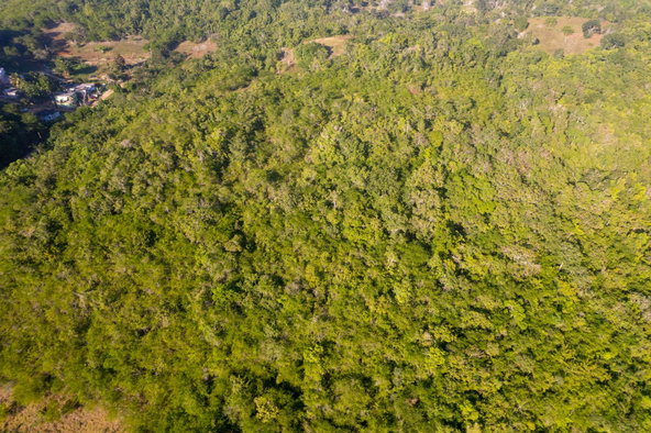 Tenth image of 100- Barnstaple & Biddeford in Biddeford, Trelawny, Jamaica - property is For Sale
