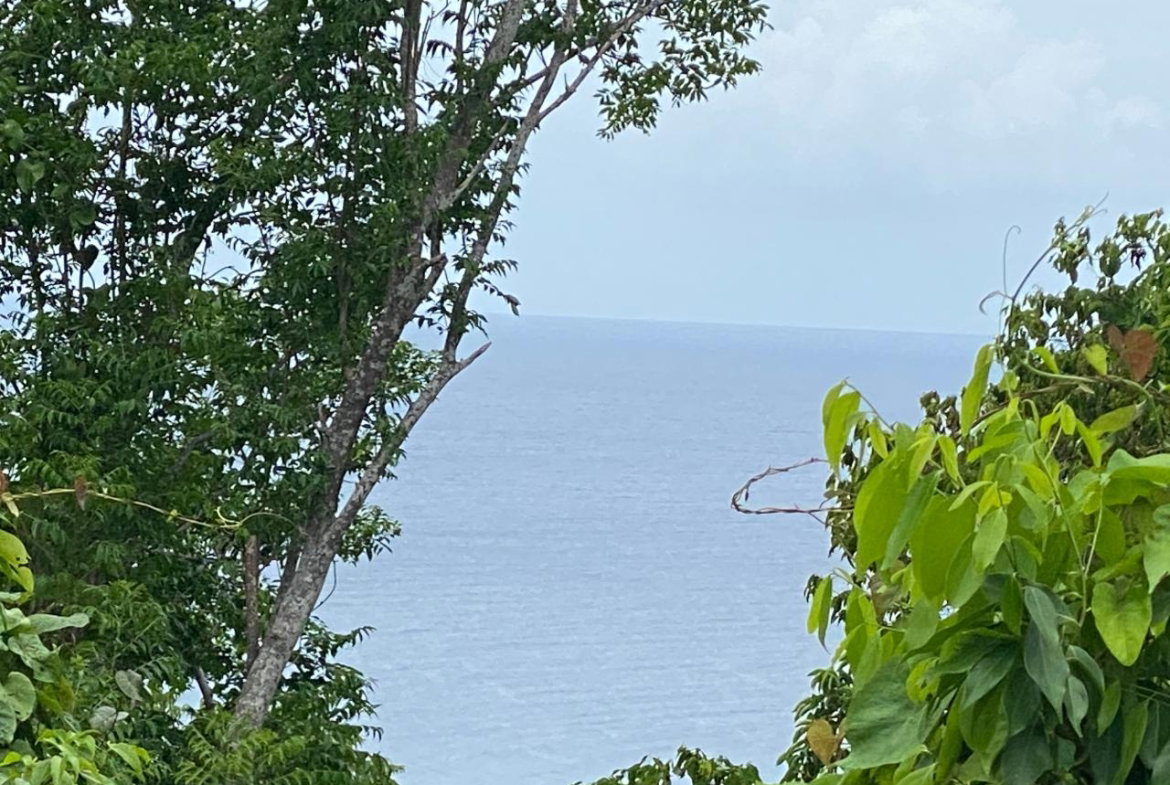 Second image of Oracabessa Coleraine in Oracabessa, St. Mary, Jamaica - property is For Sale