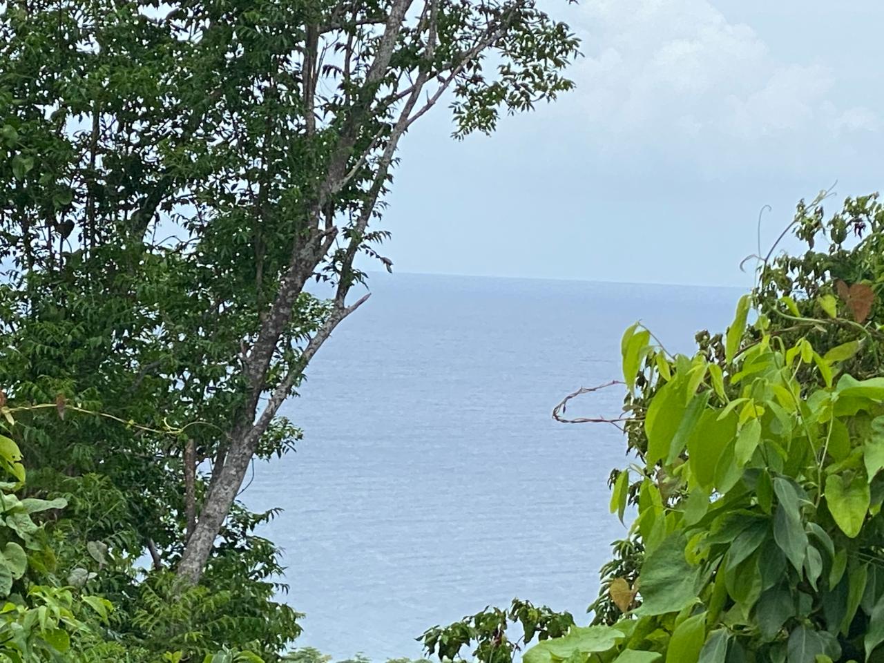 Second image of Oracabessa Coleraine in Oracabessa, St. Mary, Jamaica - property is For Sale