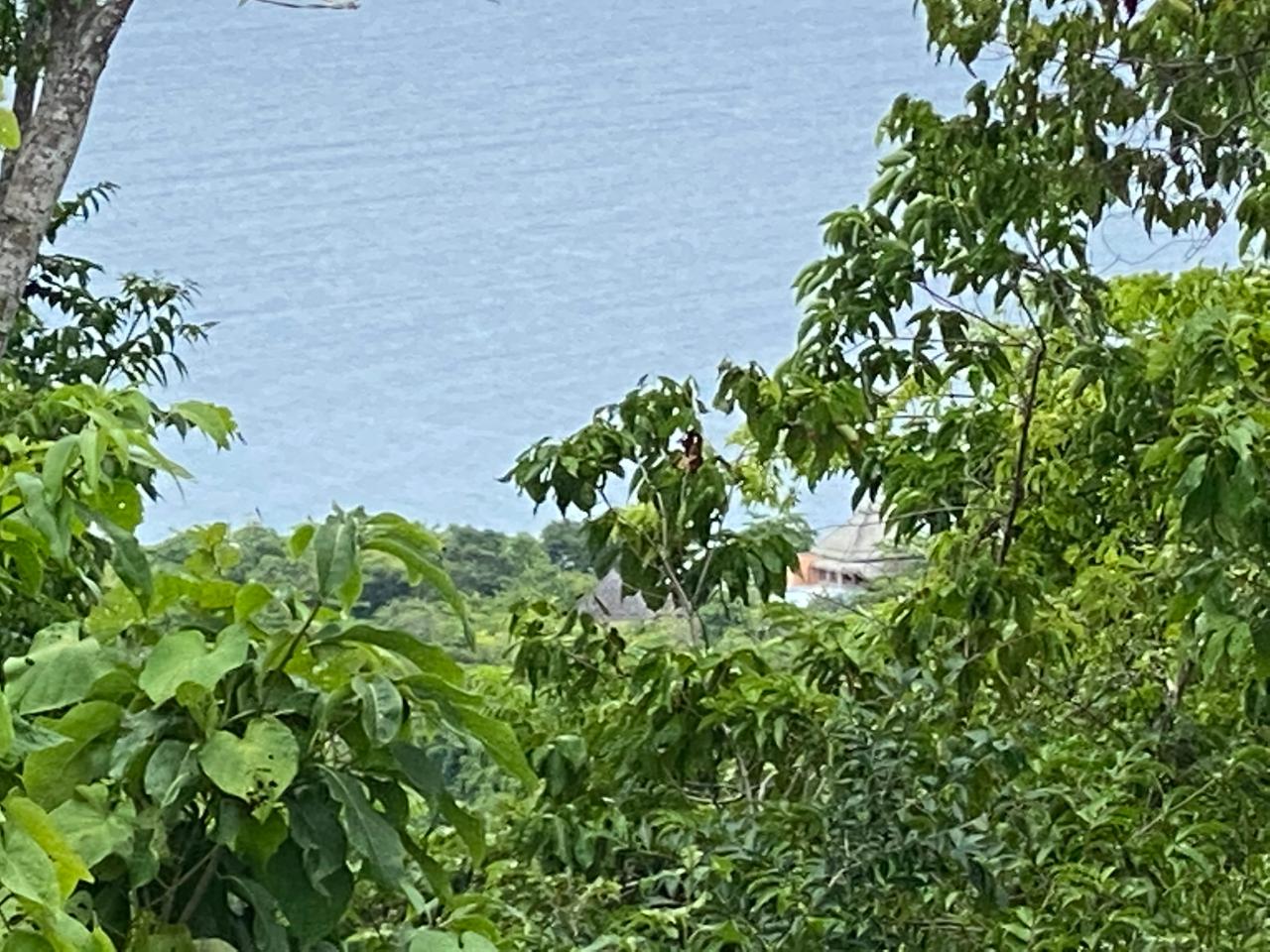 Fourth image of Oracabessa Coleraine in Oracabessa, St. Mary, Jamaica - property is For Sale