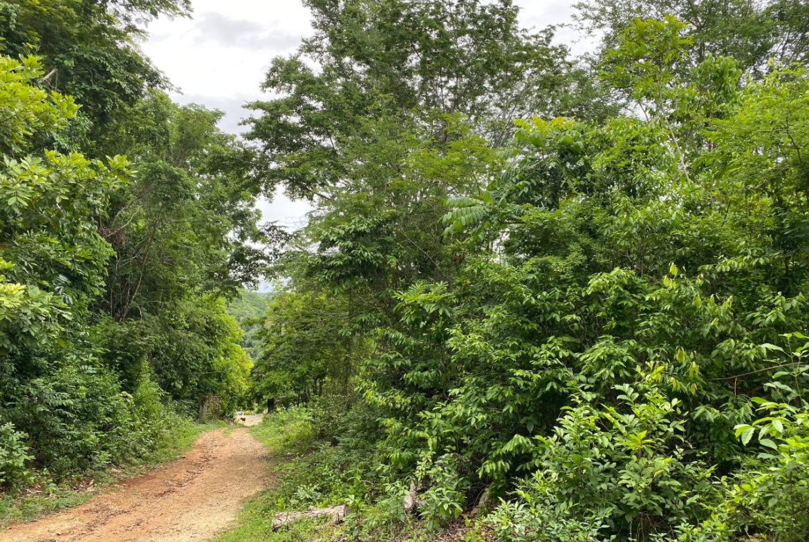 Fifth image of Oracabessa Coleraine in Oracabessa, St. Mary, Jamaica - property is For Sale
