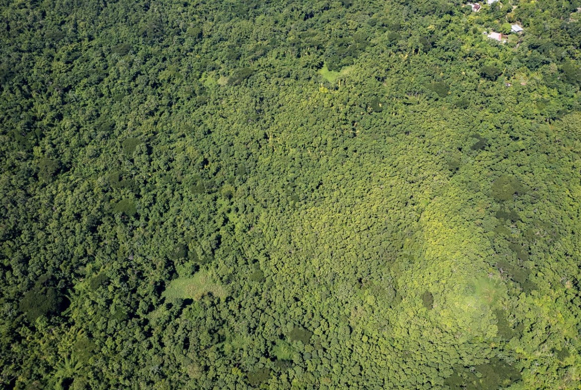Second image of Union Pen in Union Hill, St. Mary, Jamaica - property is For Sale